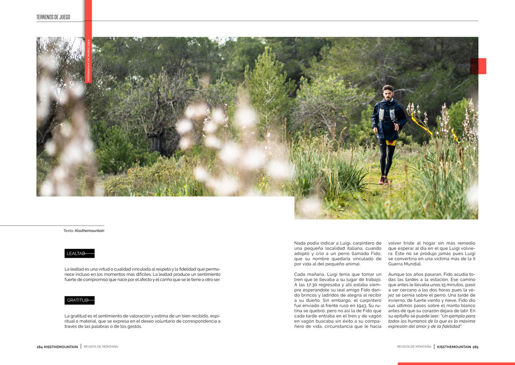 Lidl to Lidl Ibiza 2020